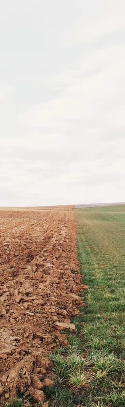 Schiller - Gislason logo