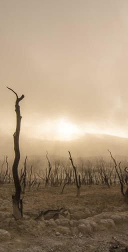 Kirlin - Connelly logo